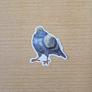 Inquisitive Pigeon Sticker