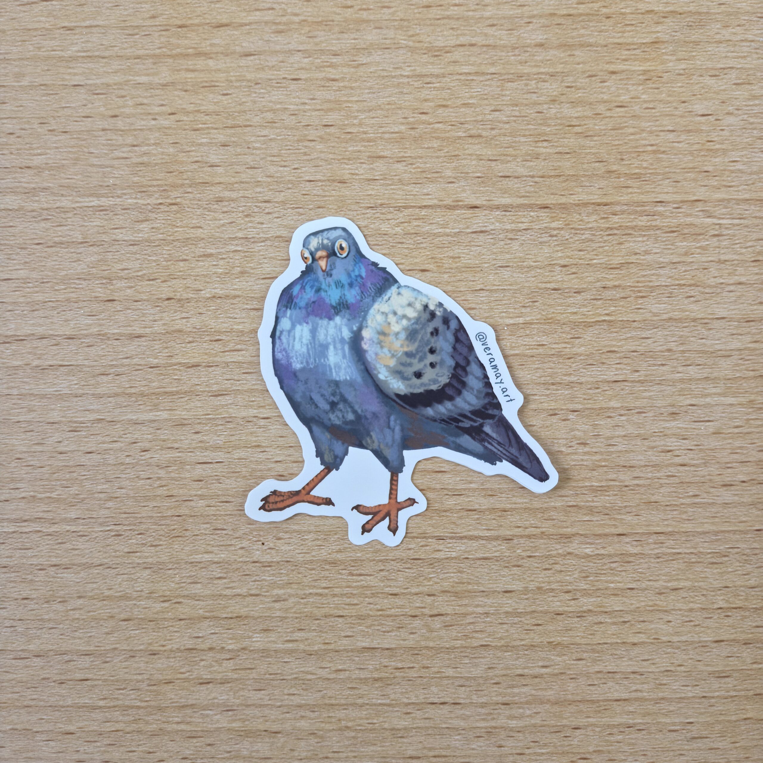 Inquisitive Pigeon Sticker